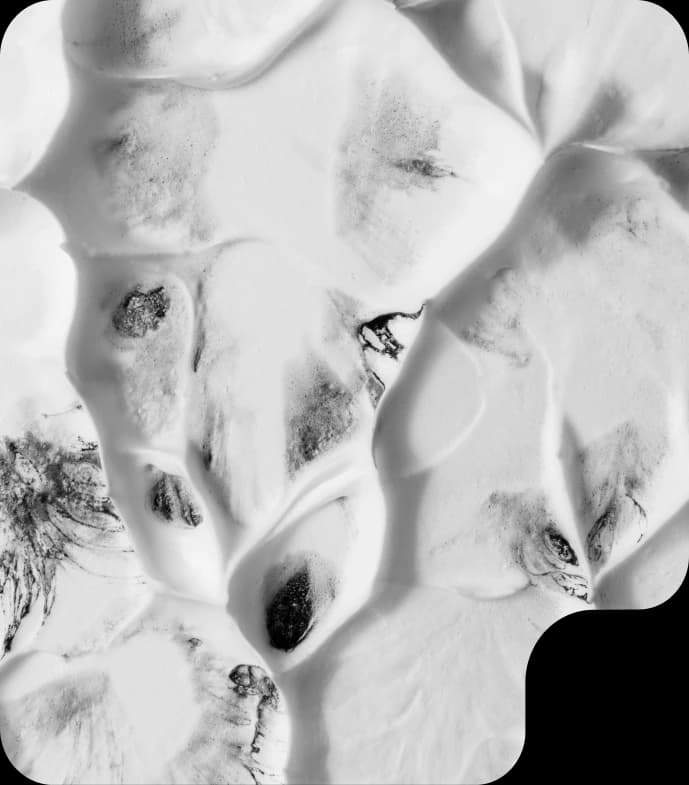 CBL Clinic - Science and well-being for life